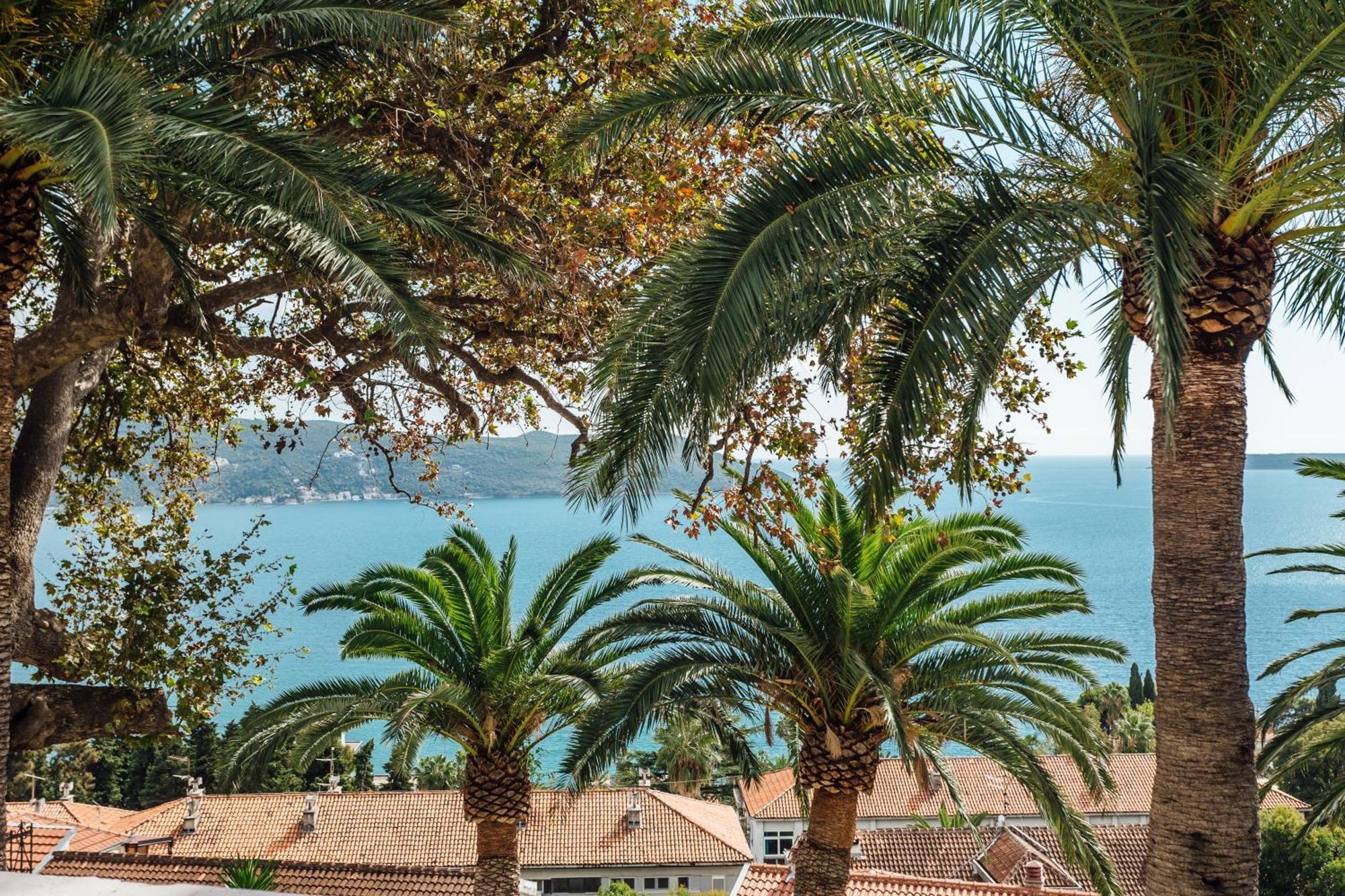 Apartments Belvedere Herceg Novi Ruang foto